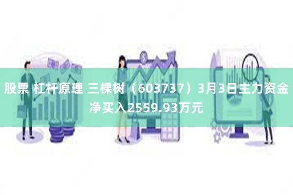 股票 杠杆原理 三棵树（603737）3月3日主力资金净买入2559.93万元