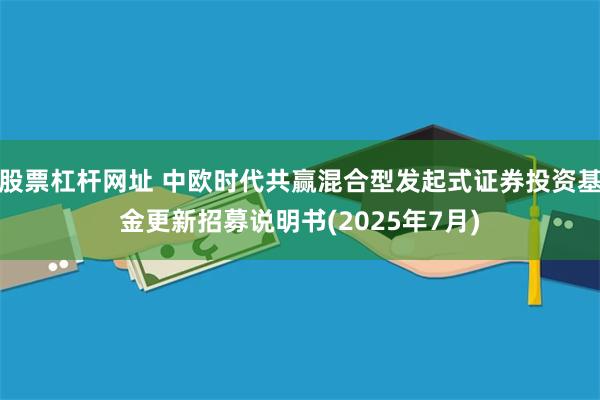 股票杠杆网址 中欧时代共赢混合型发起式证券投资基金更新招募说明书(2025年7月)