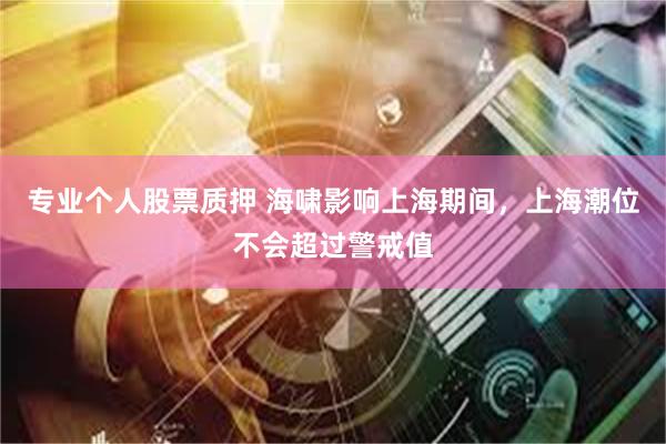 专业个人股票质押 海啸影响上海期间，上海潮位不会超过警戒值