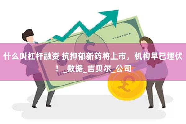 什么叫杠杆融资 抗抑郁新药将上市，机构早已埋伏！_数据_吉贝尔_公司