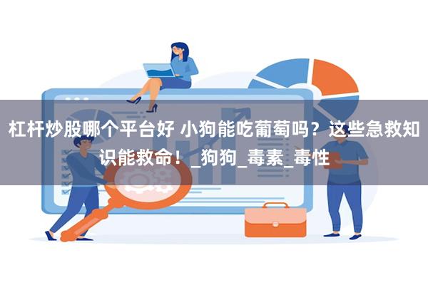 杠杆炒股哪个平台好 小狗能吃葡萄吗？这些急救知识能救命！_狗狗_毒素_毒性