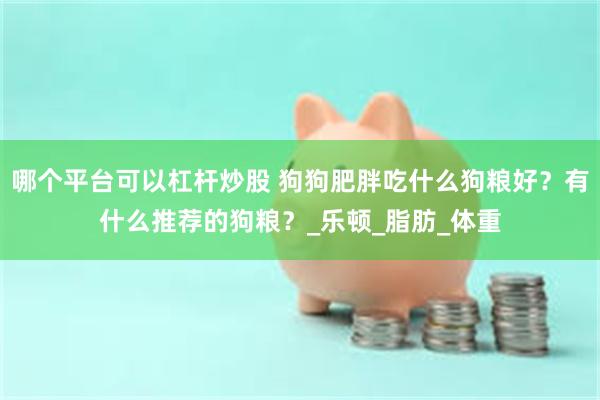 哪个平台可以杠杆炒股 狗狗肥胖吃什么狗粮好？有什么推荐的狗粮？_乐顿_脂肪_体重