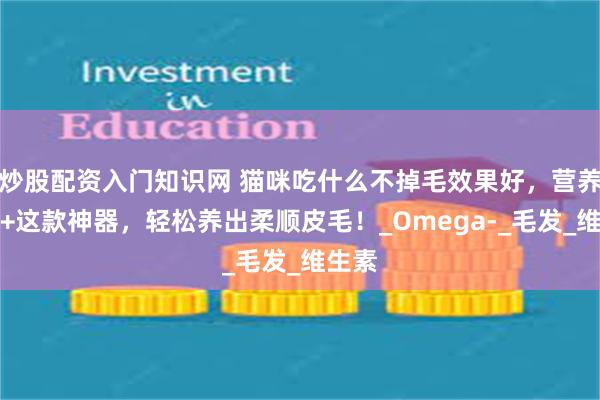 炒股配资入门知识网 猫咪吃什么不掉毛效果好，营养均衡+这款神器，轻松养出柔顺皮毛！_Omega-_毛发_维生素